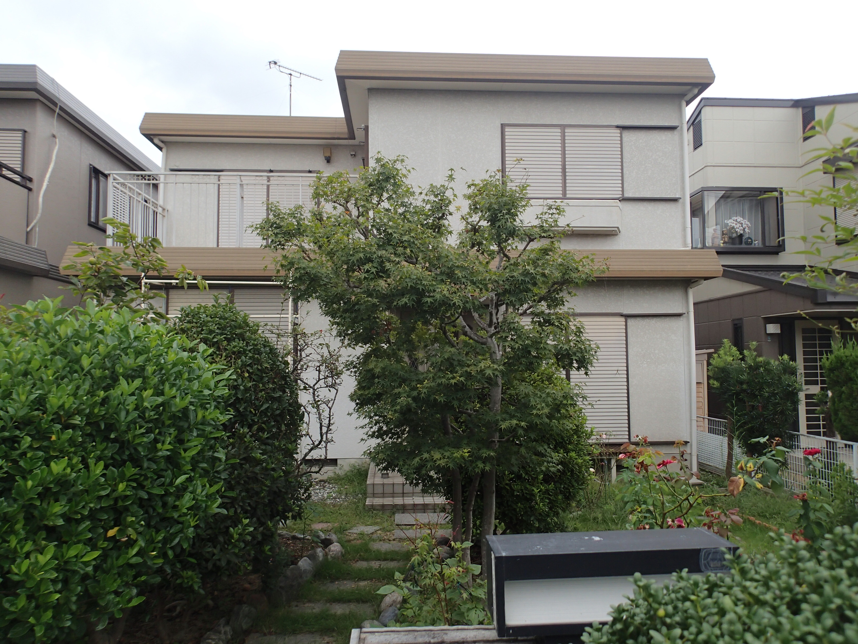 Before画像