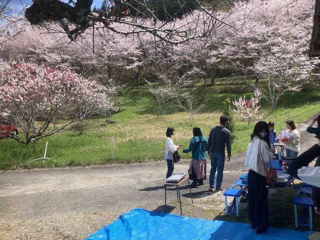 『OHANAMI』ハズカム