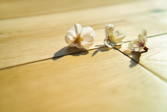 サクラの季節に桜のフローリングはいかが💛