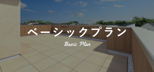 ベーシックプラン basic plan