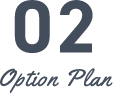 01 option plan