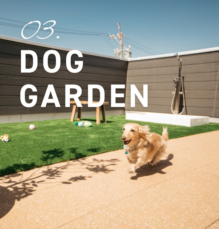 03.DOG GARDEN