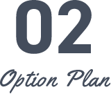 01 option plan