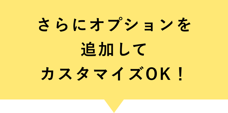 さらにオプションを追加してカスタマイズ